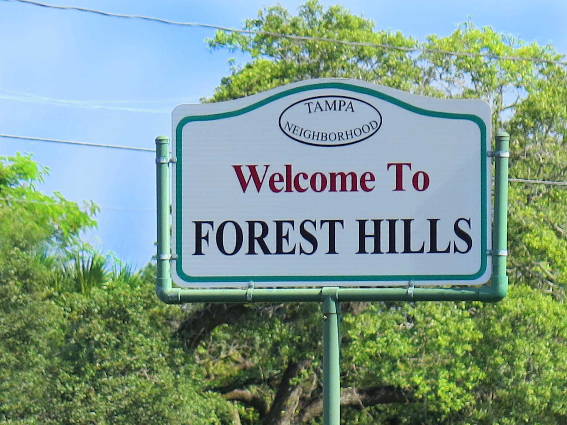 Forest Hills Homes For Sale Hillsborough County, FL Real Estate